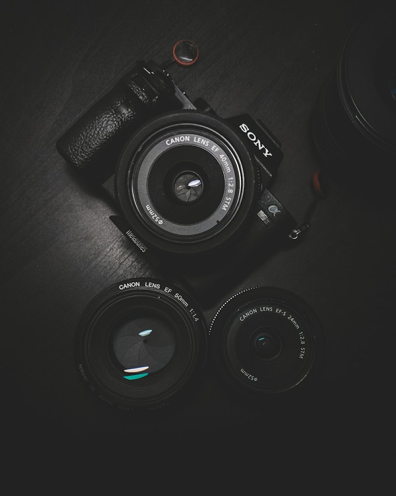 Professional Photography